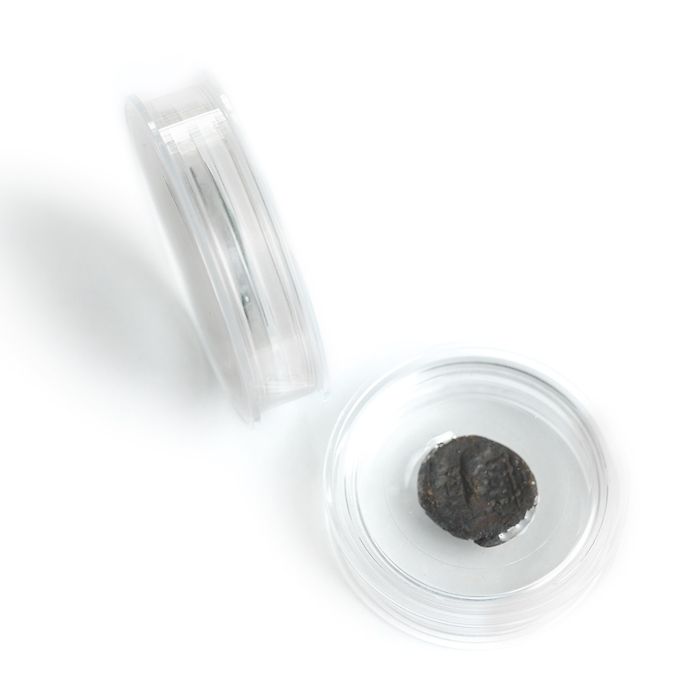 Magiska myntkapslar (6-pack)